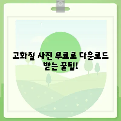 사진 다운로드