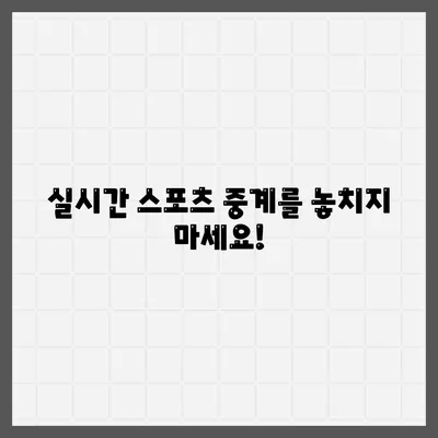 경기중계 사이트