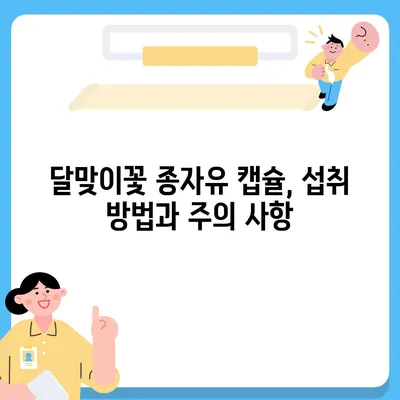 달맞이꽃 종자유 캡슐