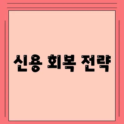 신용 회복 전략