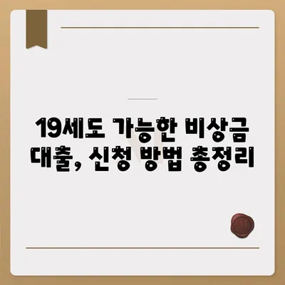 만 19세 비상금대출 신청