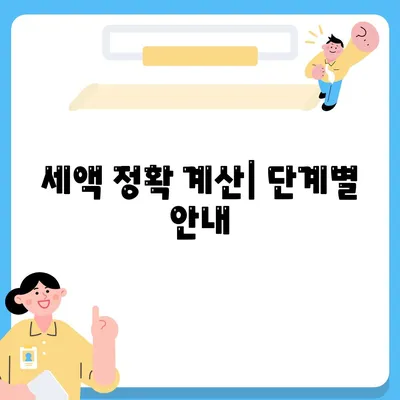 세액 정확 계산| 단계별 안내