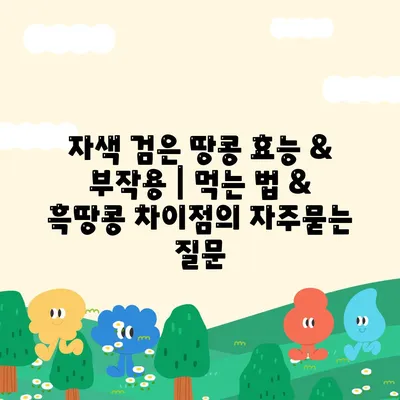 자색 검은 땅콩 효능 & 부작용 | 먹는 법 & 흑땅콩 차이점