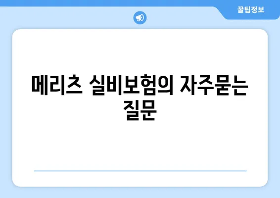 메리츠 실비보험