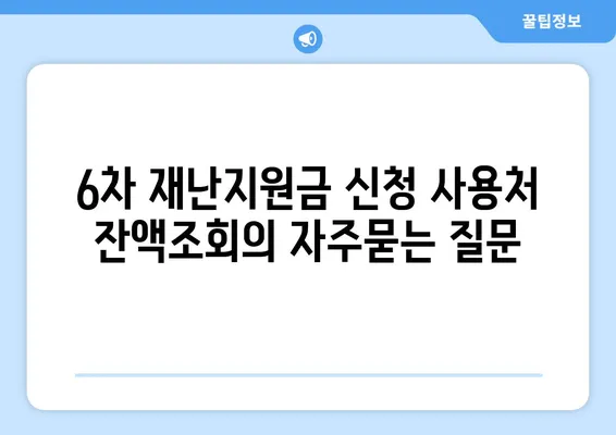 6차 재난지원금 신청 사용처 잔액조회