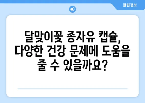 달맞이꽃 종자유 캡슐