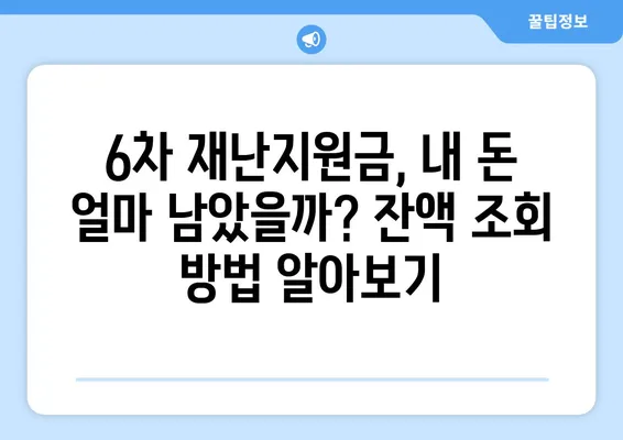 6차 재난지원금 신청 사용처 잔액조회