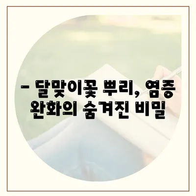 달맞이꽃 뿌리효능