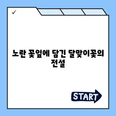 달맞이꽃