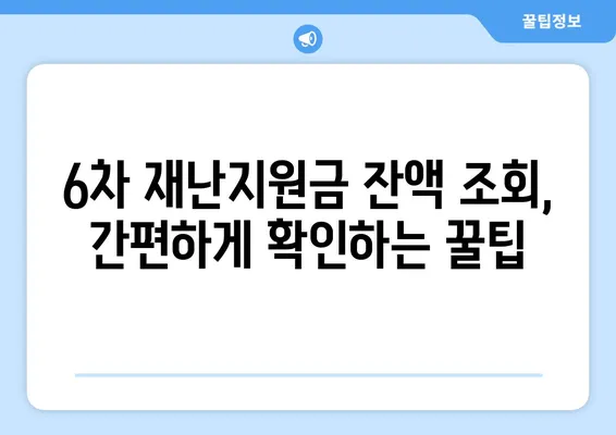 6차 재난지원금 신청 사용처 잔액조회