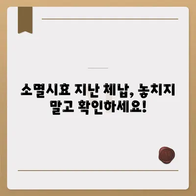 국세체납 소멸시효 조회