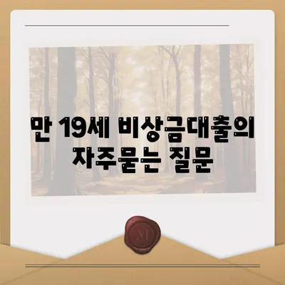 만 19세 비상금대출