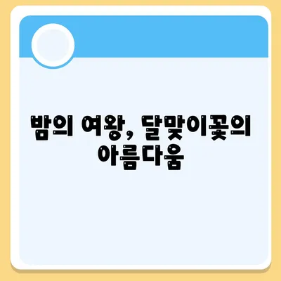 달맞이꽃