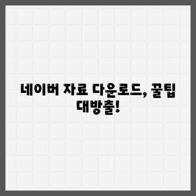 네이버 자료 다운로드