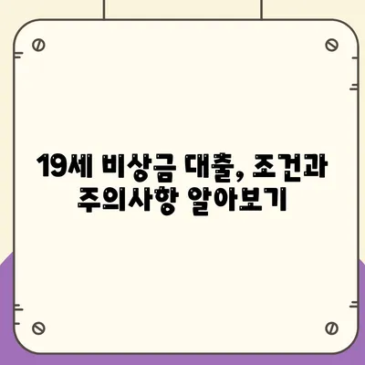 만 19세 비상금대출 신청