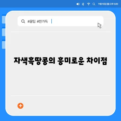 자색흑땅콩의 흥미로운 차이점