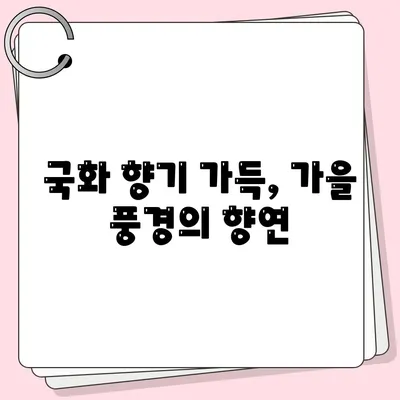 국화 향기 가득, 가을 풍경의 향연