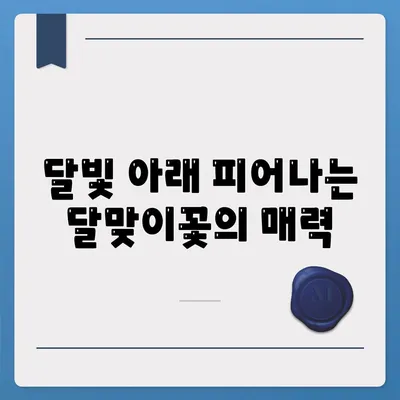 달맞이꽃