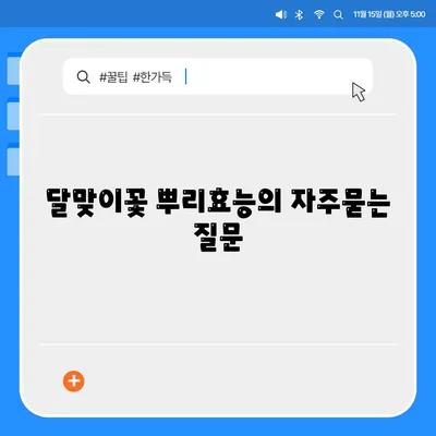 달맞이꽃 뿌리효능