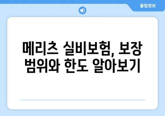 메리츠 실비보험