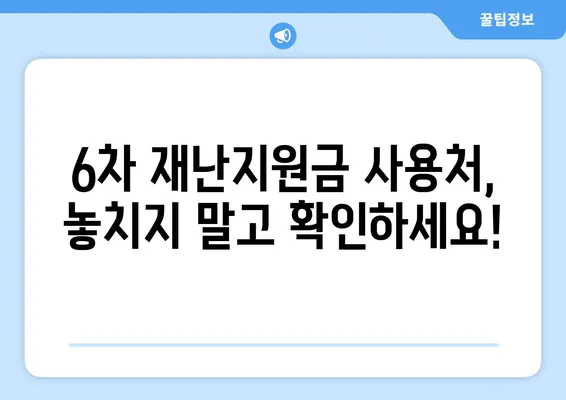 6차 재난지원금 신청 사용처 잔액조회