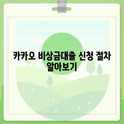 카카오 비상금대출