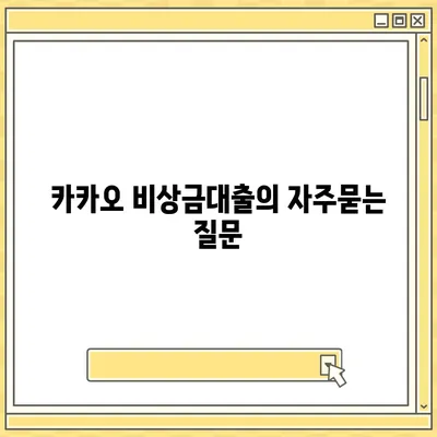 카카오 비상금대출