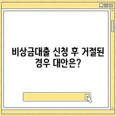 카카오뱅크 pc버전 비상금대출 pc버전 거절