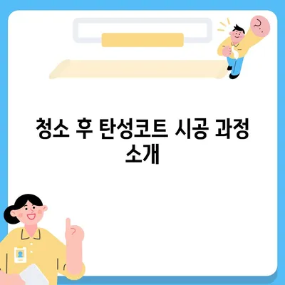 덕양구 이사 청소 후 탄성코트 시공 사례