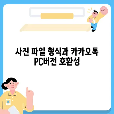 카카오톡 pc버전 사진