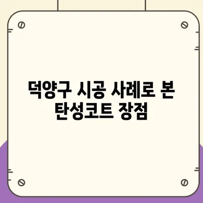 덕양구 이사 청소 후 탄성코트 시공 사례