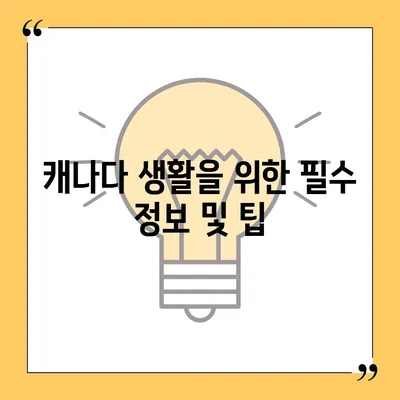 한국에서 캐나다 밴쿠버 소량 해외 이사 준비하기