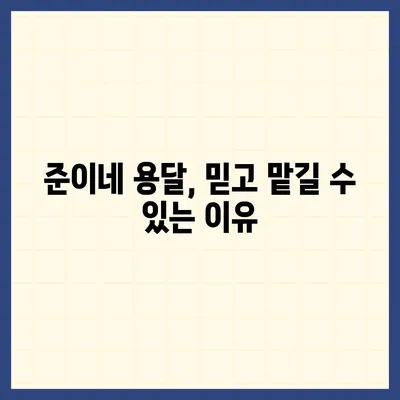 창원 용달 포장 이사 전문 업체 | 준이네 용달