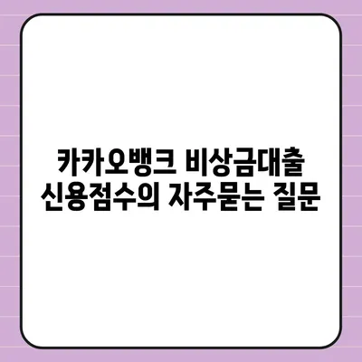 카카오뱅크 비상금대출 신용점수