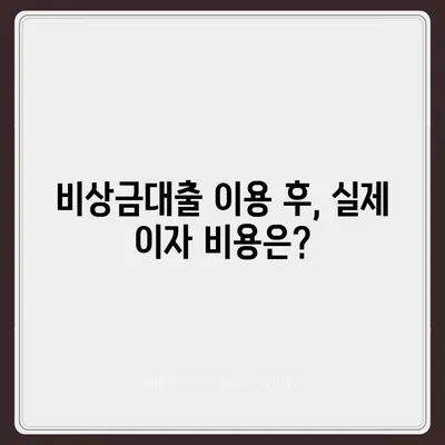 카카오뱅크 비상금대출 후기