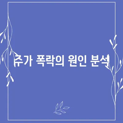 카카오페이 주가 폭락 | 개인정보 유출 논란의 영향 점검