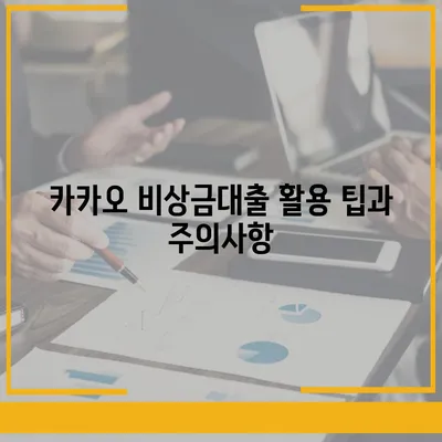 카카오 비상금대출