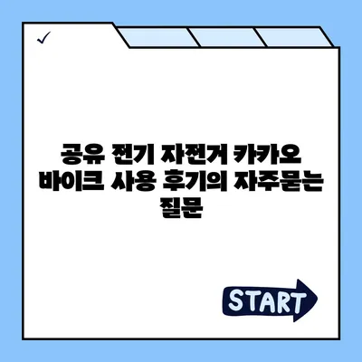 공유 전기 자전거 카카오 바이크 사용 후기