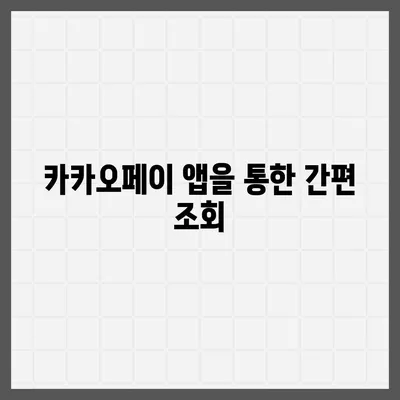 카카오페이 현금영수증 등록 확인 방법