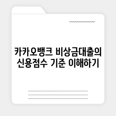 카카오뱅크 비상금대출 신용점수