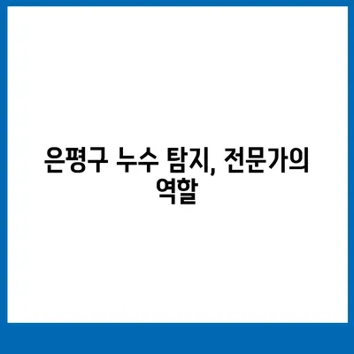 빌라 누수 책임 | 평택 구 누수 탐지, 은평구 누수 탐지, 집 매도 이사 후 누수 원인