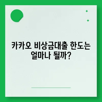 카카오 비상금대출