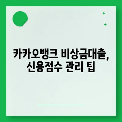 카카오뱅크 비상금대출 신용점수