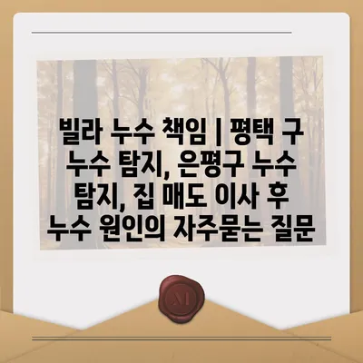 빌라 누수 책임 | 평택 구 누수 탐지, 은평구 누수 탐지, 집 매도 이사 후 누수 원인