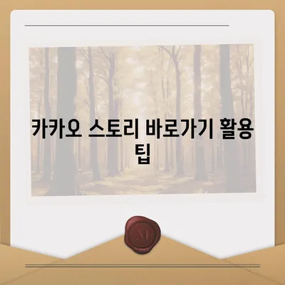 카카오 스토리 바로가기