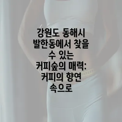 강원도 동해시 발한동에서 찾을 수 있는 커피숲의 매력: 커피의 향연 속으로