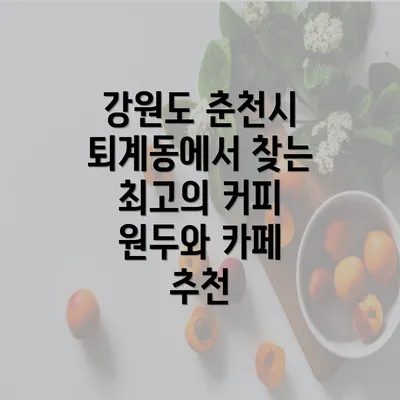 강원도 춘천시 퇴계동에서 찾는 최고의 커피 원두와 카페 추천