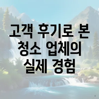 고객 후기로 본 청소 업체의 실제 경험