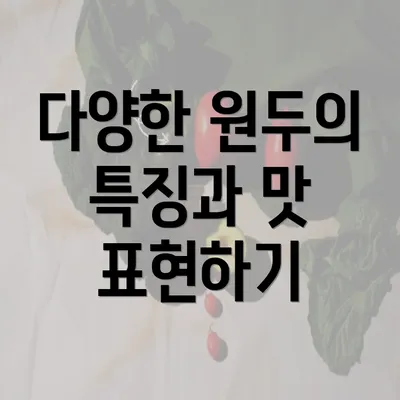 다양한 원두의 특징과 맛 표현하기