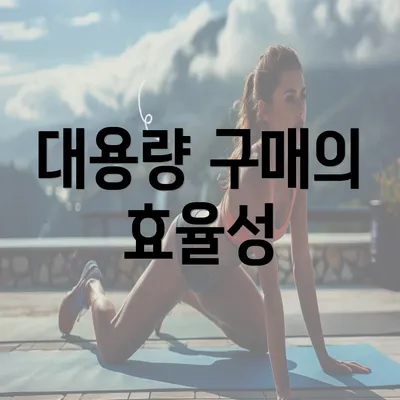 대용량 구매의 효율성